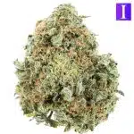 Gorilla Glue #4 AA - Indica