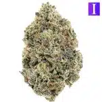 Grand Daddy Purple AAAA - Indica