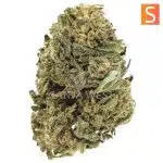 Haze Berry A - Sativa