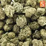 haze berry a wholesale