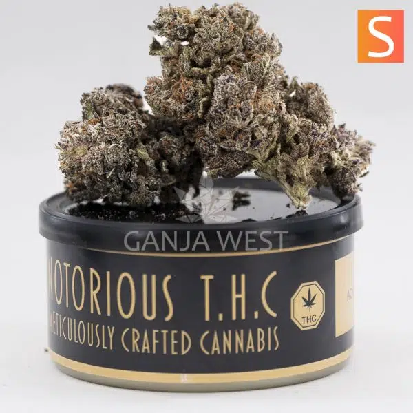 Notorious THC Craft - Black Cherry Soda (7 Grams)