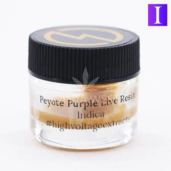 peyote purple high voltage live resin jar