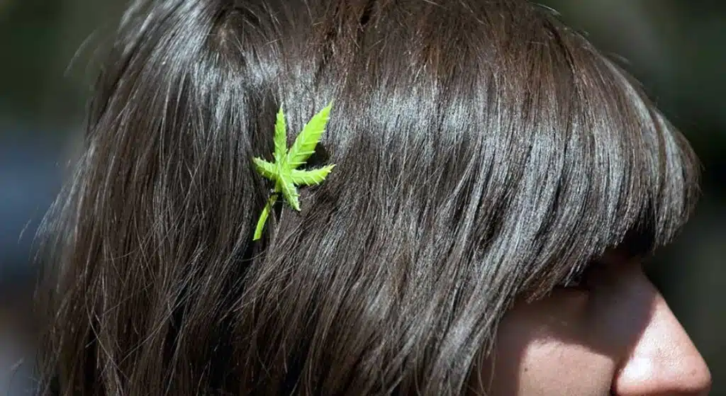 weed and hair health