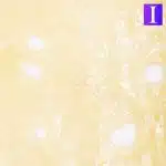 bc mango shatter crop