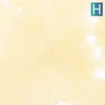 beach party shatter crop