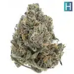 Cookie Crisp AAA - Hybrid