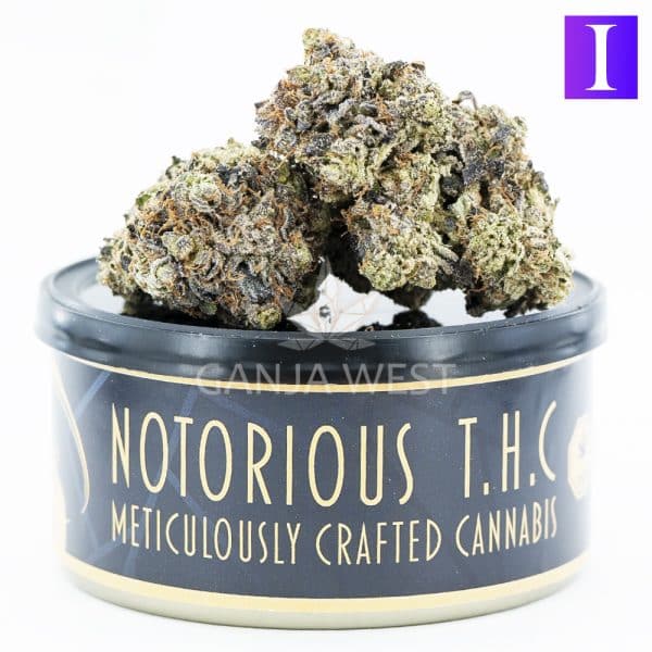 Notorious THC Craft - Khalifa Mints (7 Grams)