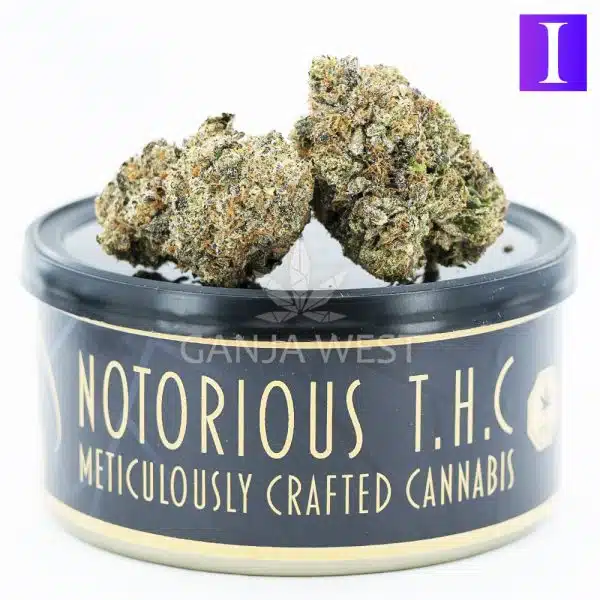 Notorious THC Craft - Strawberry Fields (7 Grams)