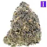 Gelato Pie Craft - Indica