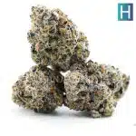 goji gushers craft three nug