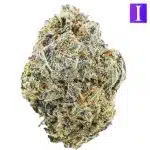 H4L Purple Kong AAA - Indica