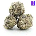 h4l purple kong aaa three nug