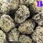 h4l purple kong aaa wholesale