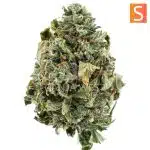 Island Haze A - Sativa