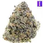 Pink Gelato Craft - Indica