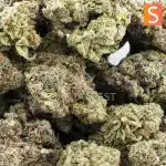 slurricrasher craft wholesale