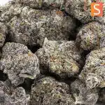 sour diesel craft wholesale