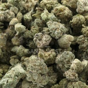 Specialty - Popcorn Rainbow Pack - Ounce of Mixed Bud