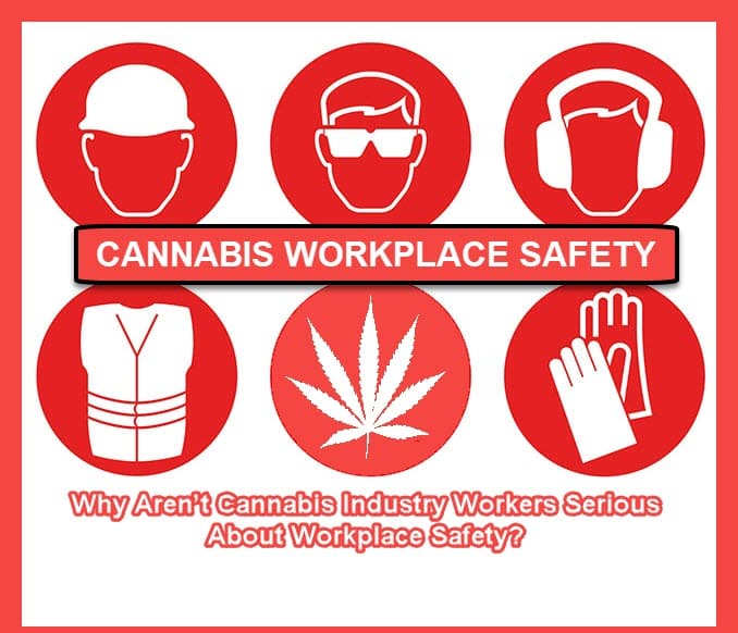 Weed Safety In The Workplace - Ganja West Dispensary