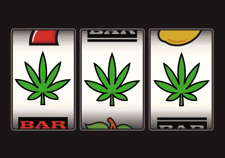 Gambling And Weed