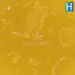 Caviar - Faygo Red Pop - Hybrid - Image 2