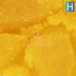 Diamonds - Sapphire Cherries - Hybrid - Image 2