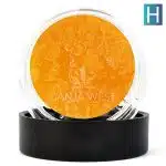 Sauce - Cherry Crush - Hybrid