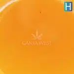 Sauce - Fruit Flambe - Hybrid - Image 2