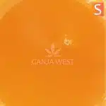 Sauce - Jamaican Jam - Sativa - Image 2