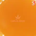 Sauce - Red Congolese - Sativa - Image 2