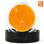 Sauce - Red Congolese - Sativa