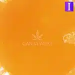 Sauce - Watermelon Mimosa - Indica - Image 2