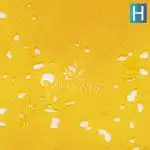 Shatter - Balla Berries - Hybrid - Image 2