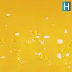 Shatter - Larry Cake - Hybrid - Image 2