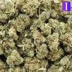 Dosi Punch AA Popcorn - Indica - Image 2