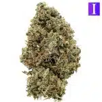 Blue Master AA - Indica