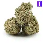 Blue Master AA - Indica - Image 2