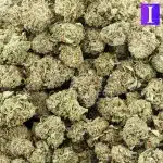 Blue Master AA - Indica - Image 3