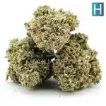 Rock Tuna AA - Hybrid - Image 2