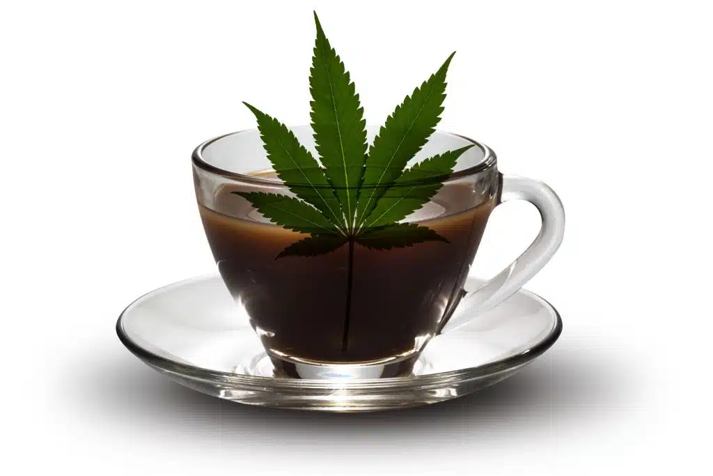 weed coffee industry
