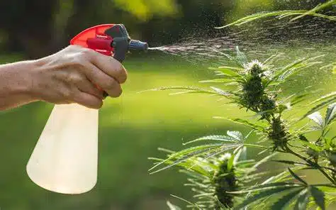 weed pesticides