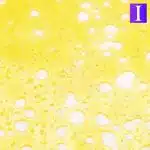 Shatter - Mango Fruz - Indica - Image 2