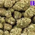 Supergirl A - Indica - Image 3