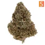 Dirty Little Secret A - Sativa