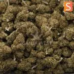 Dirty Little Secret A - Sativa - Image 3
