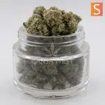 Grape God AA Popcorn - Sativa