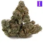 Harambe A - Indica - Image 2