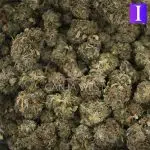 Harambe A - Indica - Image 3