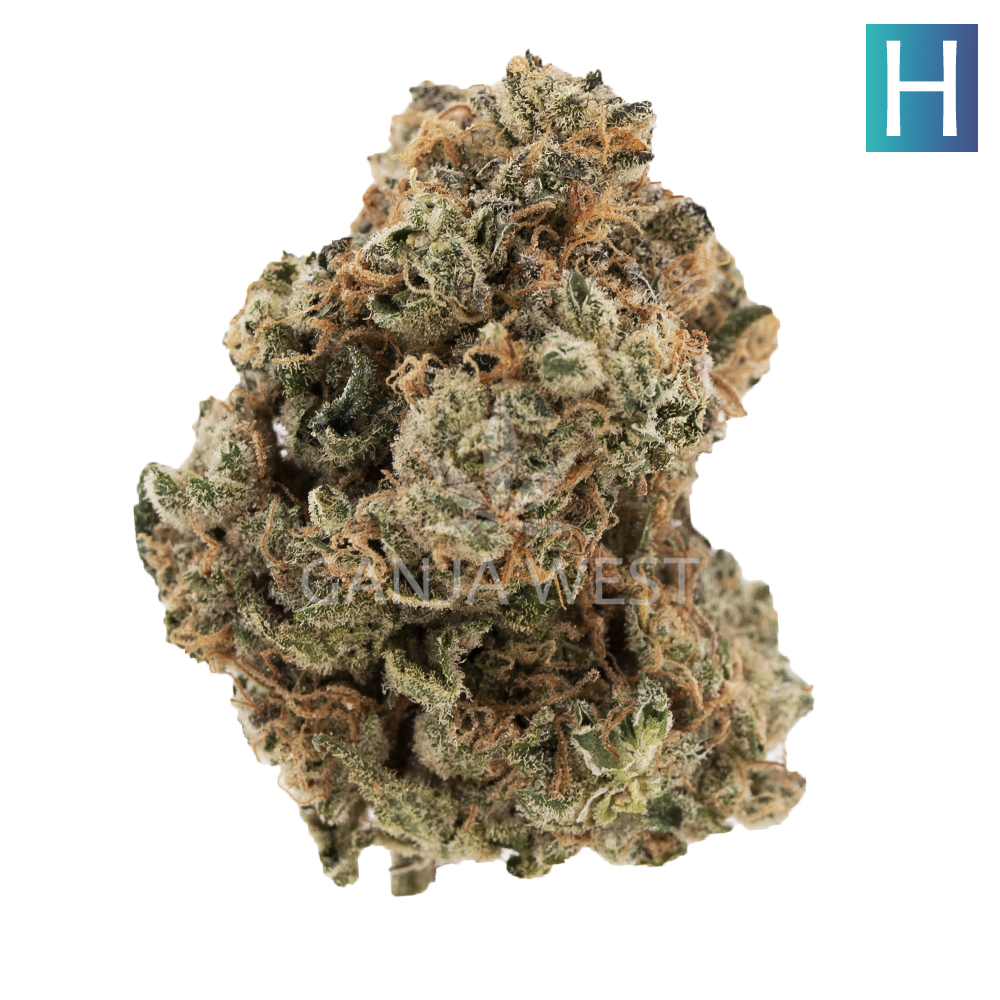 Gorilla Snacks AAA - Hybrid - Ganja West Online Dispensary.