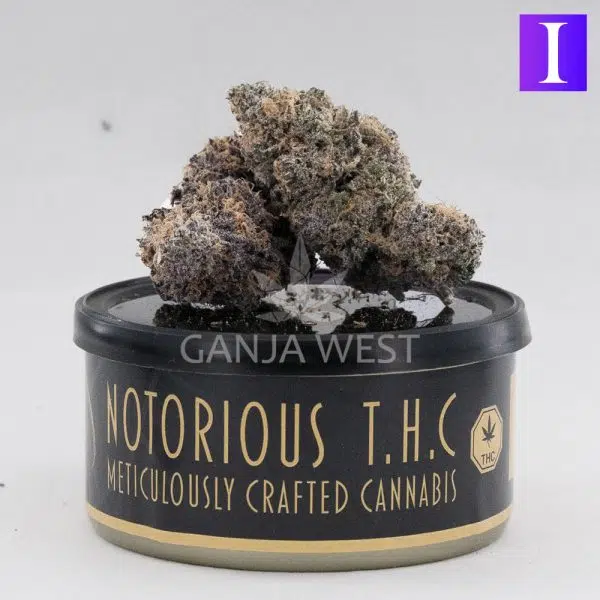 Notorious THC Craft - Granddaddy Purple (7 Grams)